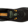 Challenger ATR 6 ‘Black Thyme’