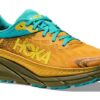 Challenger ATR 7 GORE-TEX ‘Golden Yellow Avocado’