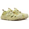 Hopara ‘Celery Root’