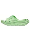 Ora Recovery Slide 3 ‘Green’