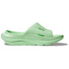 Ora Recovery Slide 3 ‘Green’