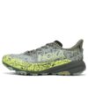 Speedgoat 6 GTX ‘Slate Aloe Vera’