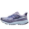 (WMNS) Stinson 7 ‘Cosmic Sky Meteor’